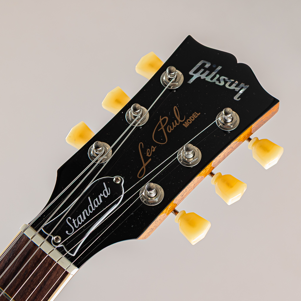 Les Paul Standard 50s P-90 Gold Top【S/N:206960002】【2nd製品】