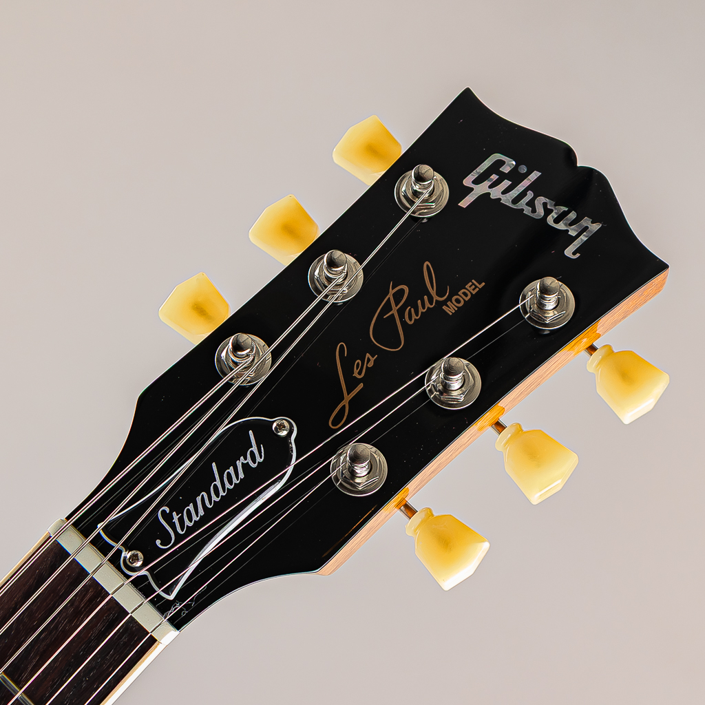 Les Paul Standard 50s P-90 Gold Top【S/N:206360032】【2nd製品】