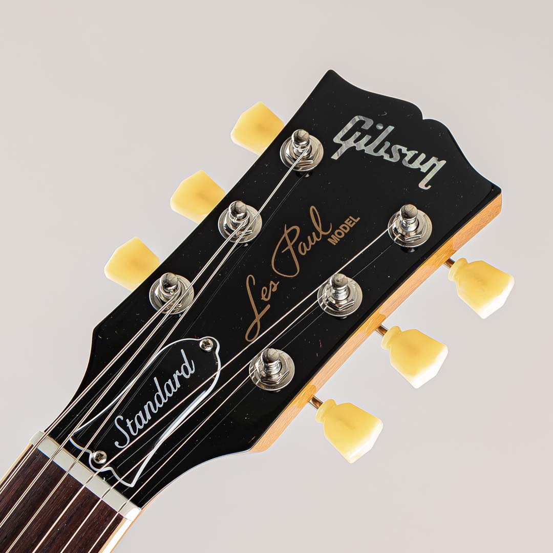 Les Paul Standard 50s P-90 Gold Top【S/N:205760224】【2nd製品】