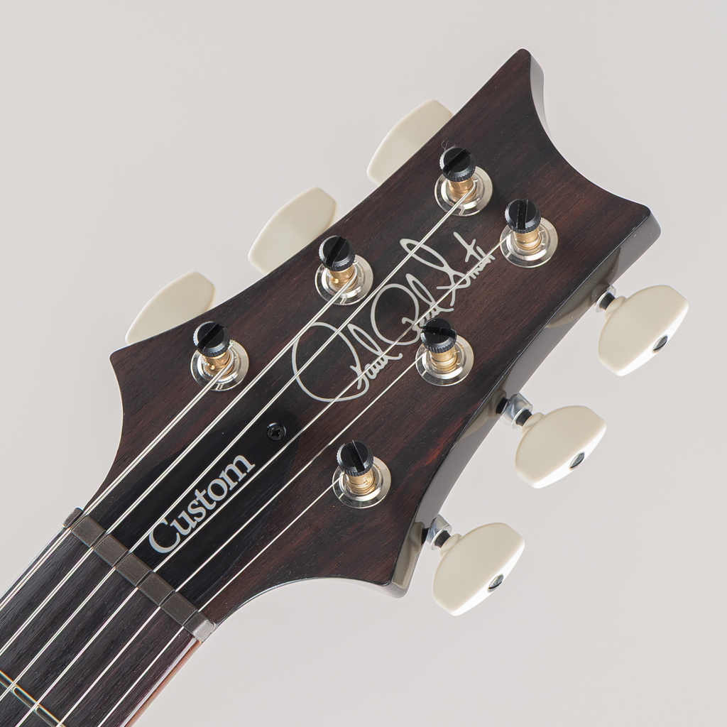 Custom24 "DMO" Pickups Faded Whale Blue 2025