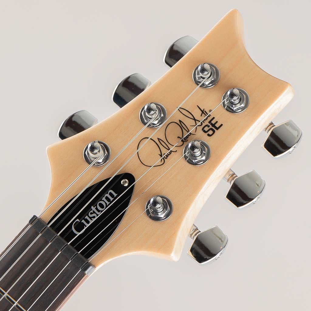 SE Custom 24-08/Turquoise【2024】