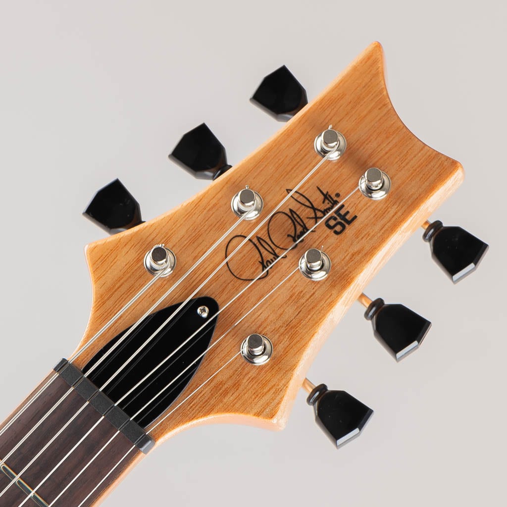 SE Paul's Guitar / Turquoise 【2023】