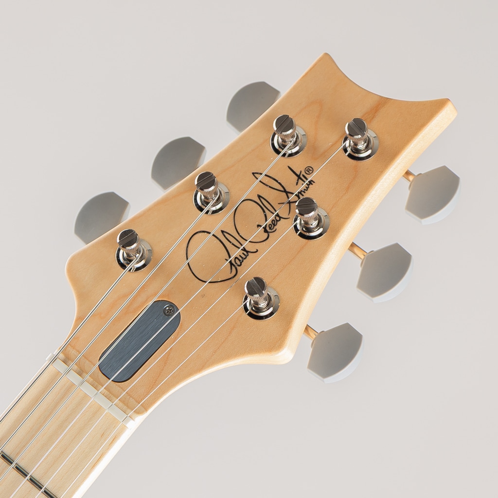 SILVER SKY John Mayer Signature Model Maple Venetian Blue 2025