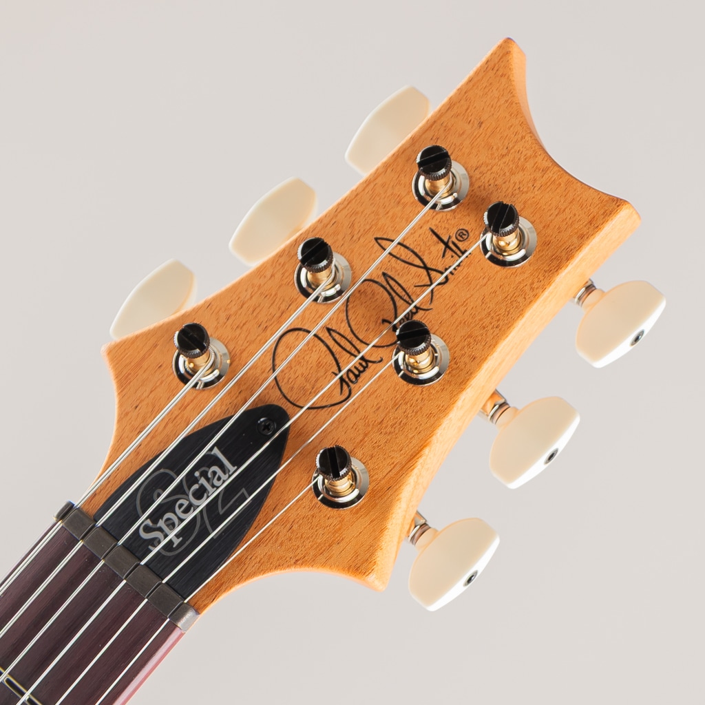 S2 Special Semi-Hollow Reclaimed Limited Edition【全世界700本限定】2025 S2085719【3.320kg】 アメリカ村店