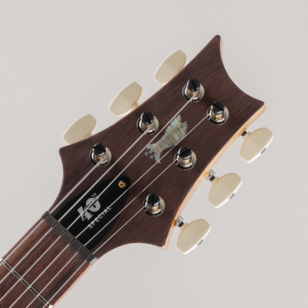 40th Aniversary Special Semi-Hollow Limited Edition Yellow Tiger 2025