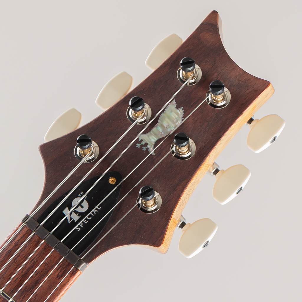 40th Aniversary Special Semi-Hollow Limited Edition Yellow Tiger 2025