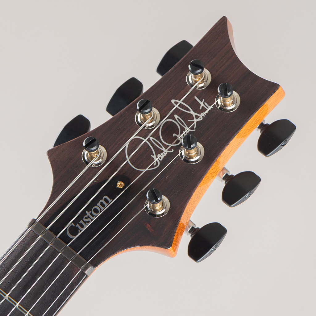 Custom24 10Top "DMO" Pickups Artic Blue 2025