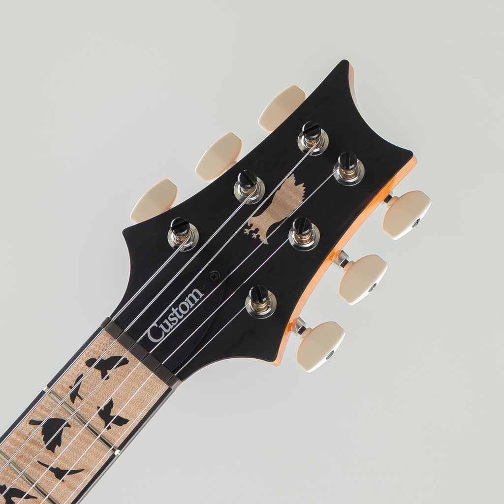 Custom 24 Birds of a Feather Limited - PS - Charcoal Microburst