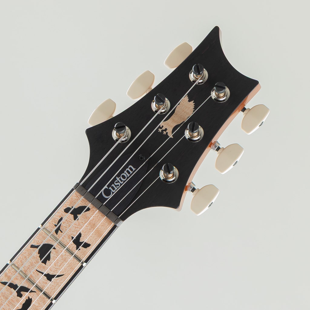 Custom 24 Birds of a Feather Limited - PS - Honey Gold 2026
