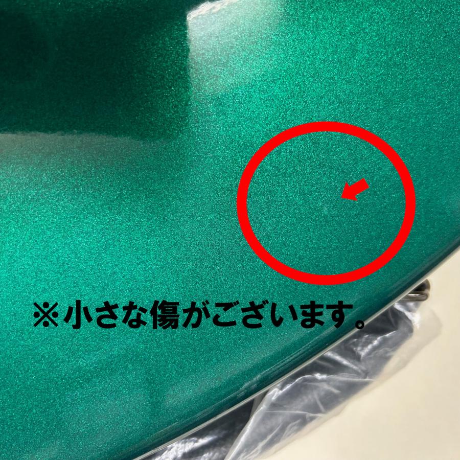 【中古美品 1点限り】CCI シャイニー クラリネット ケース ノーマル グリーン