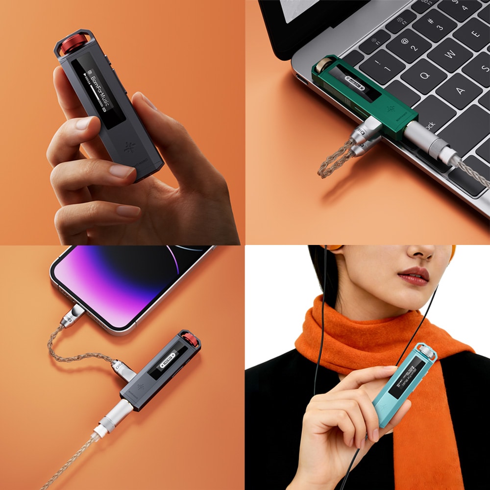 《8/7発売》 FIIO ポータブルオーディオプレーヤー Snowsky ECHO NANO ブルー (FIO-SSENANO-L) 《ロゴ入りクロスプレゼント》 ブルー DZONE