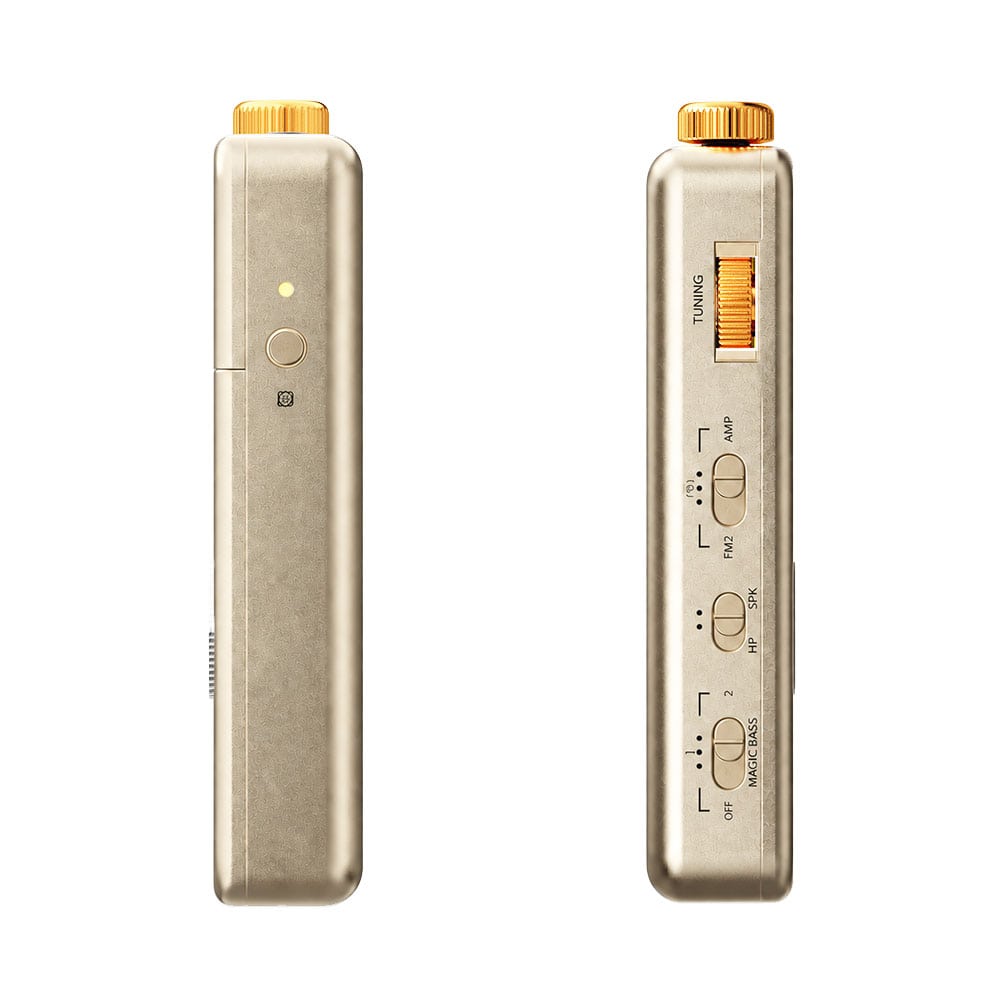 《10月9日発売》 FIIO ポータブル FMラジオ RR13 ゴールド + 専用ケース NEST-RR13 ブラウン セット 《ロゴ入りクロスプレゼント》 ゴールド (ケース:ブラウン) DZONE