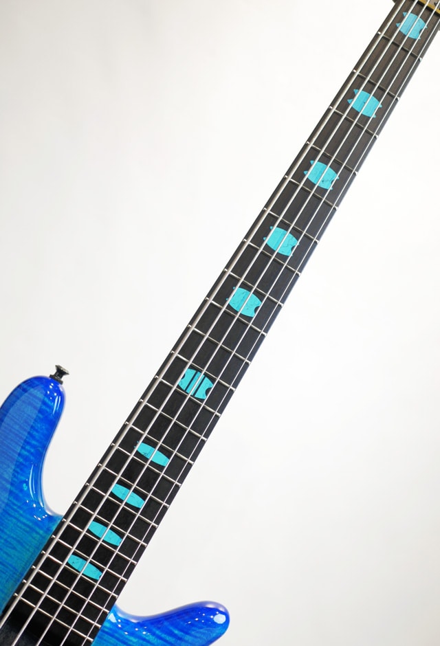 Custom Shop NS-5 FM/PM M/EB EMG PJ HPBL: ベース｜三木楽器