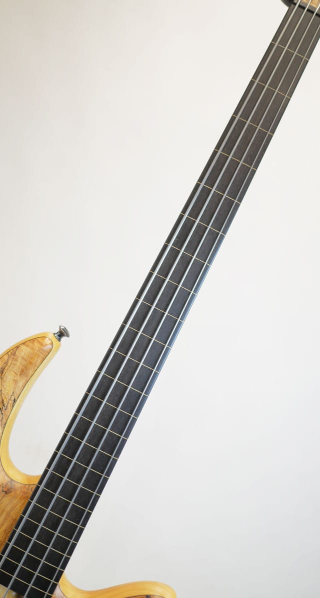 Gold Series e-volution4 Spalted Maple -Fretless-