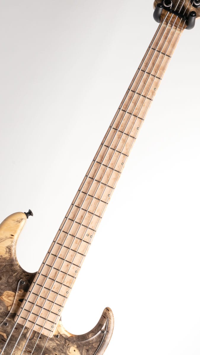 Vibe-5 19pitch Model / Buckeye Burl Top #252: ベース｜三木楽器公式