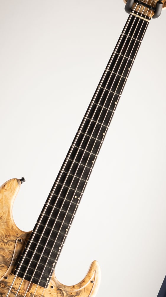 Vibe-5 19pitch Model / Buckeye Burl Top #228