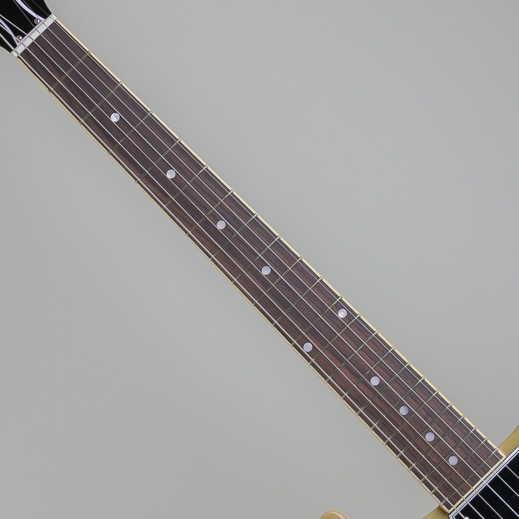 Inspired by Gibson Custom 1960 Les Paul Special Double Cut Reissue