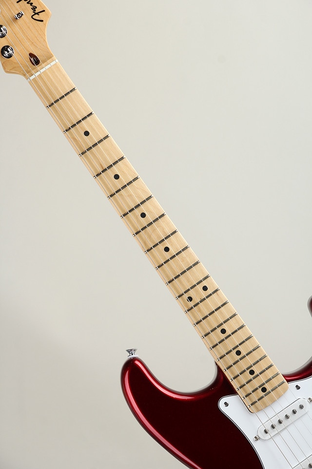 Standard Stratocaster MN Candy Cola【S/N : ISFD25002024】