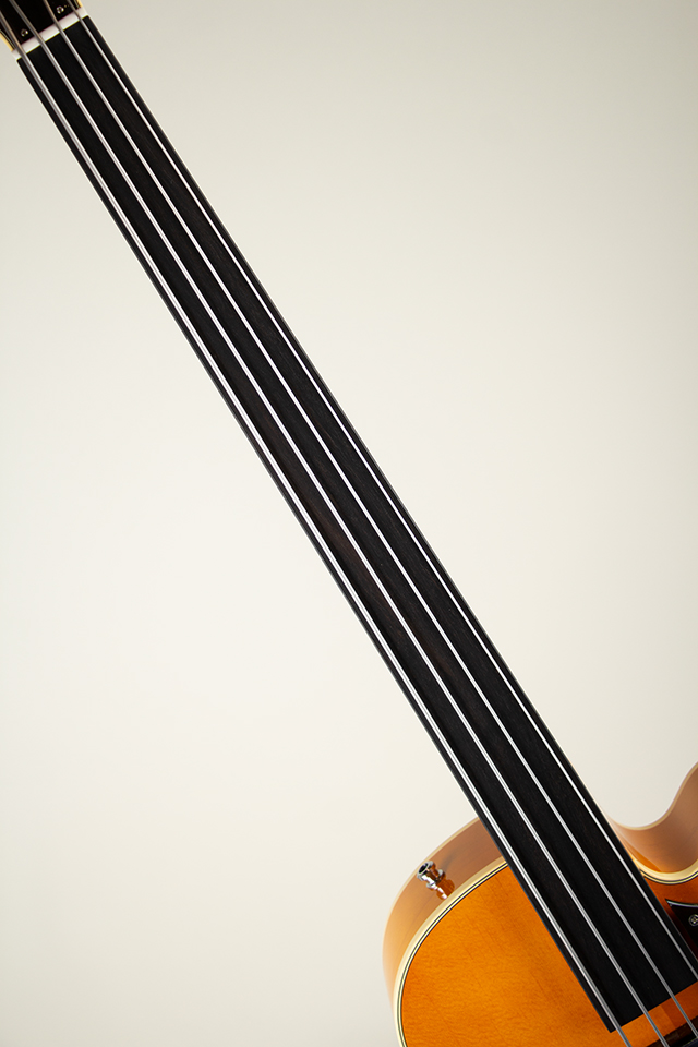 Ladybug-Bass SM Flet Less/Vintage Natural【S/N:RZO926】