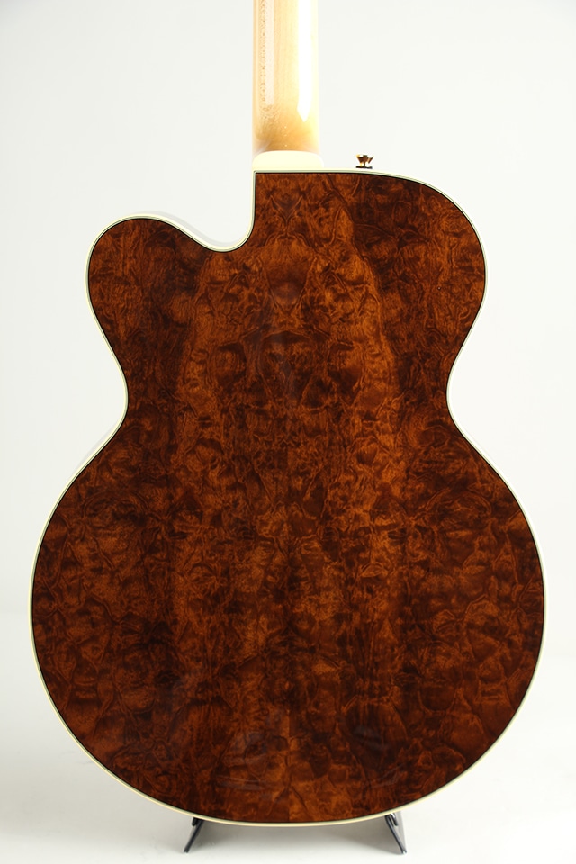 JF16 Imbuia Burl 2025
