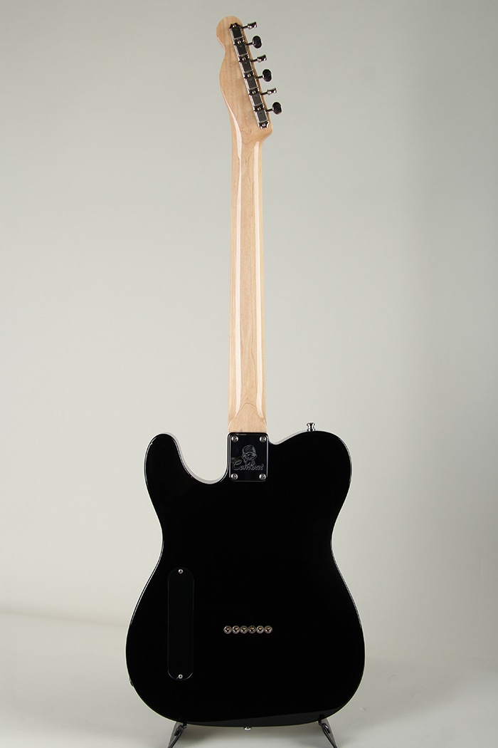 TL Type Order Model EMG Pickups
