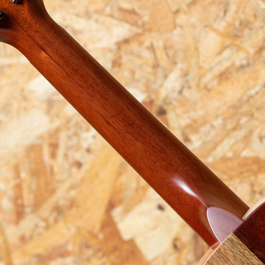 KCNP-10 Naupaka Concert