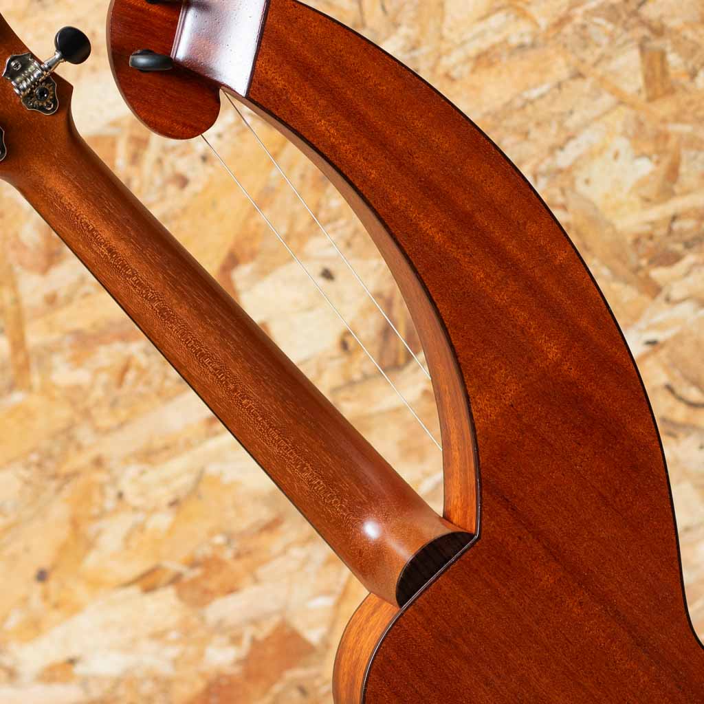 aNN-Harp.E 2010's