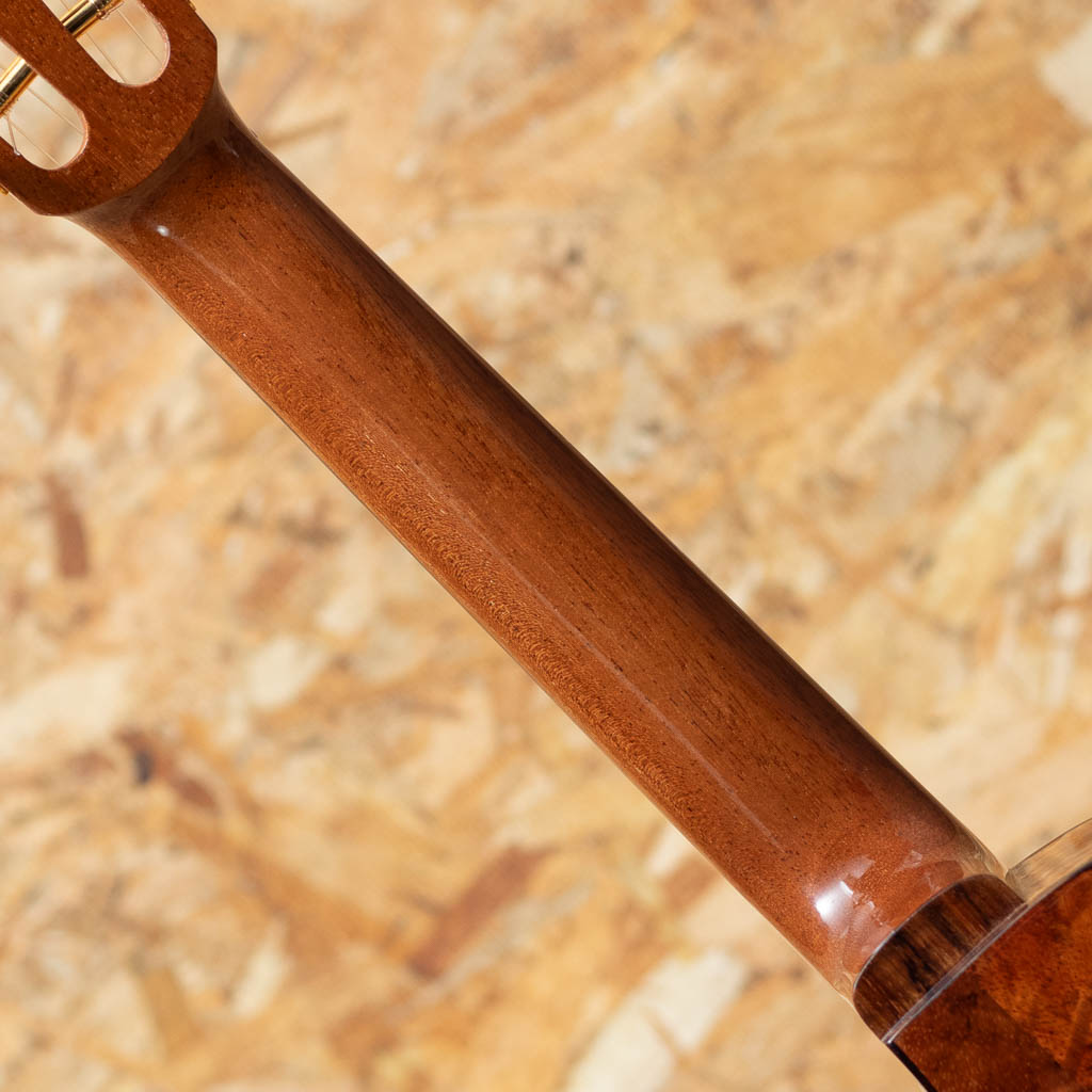 CBDK-LN Concert Semi Long Neck