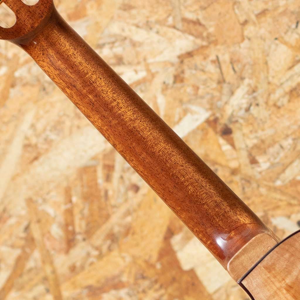 CEDMP-LN Concert Semi Long Neck