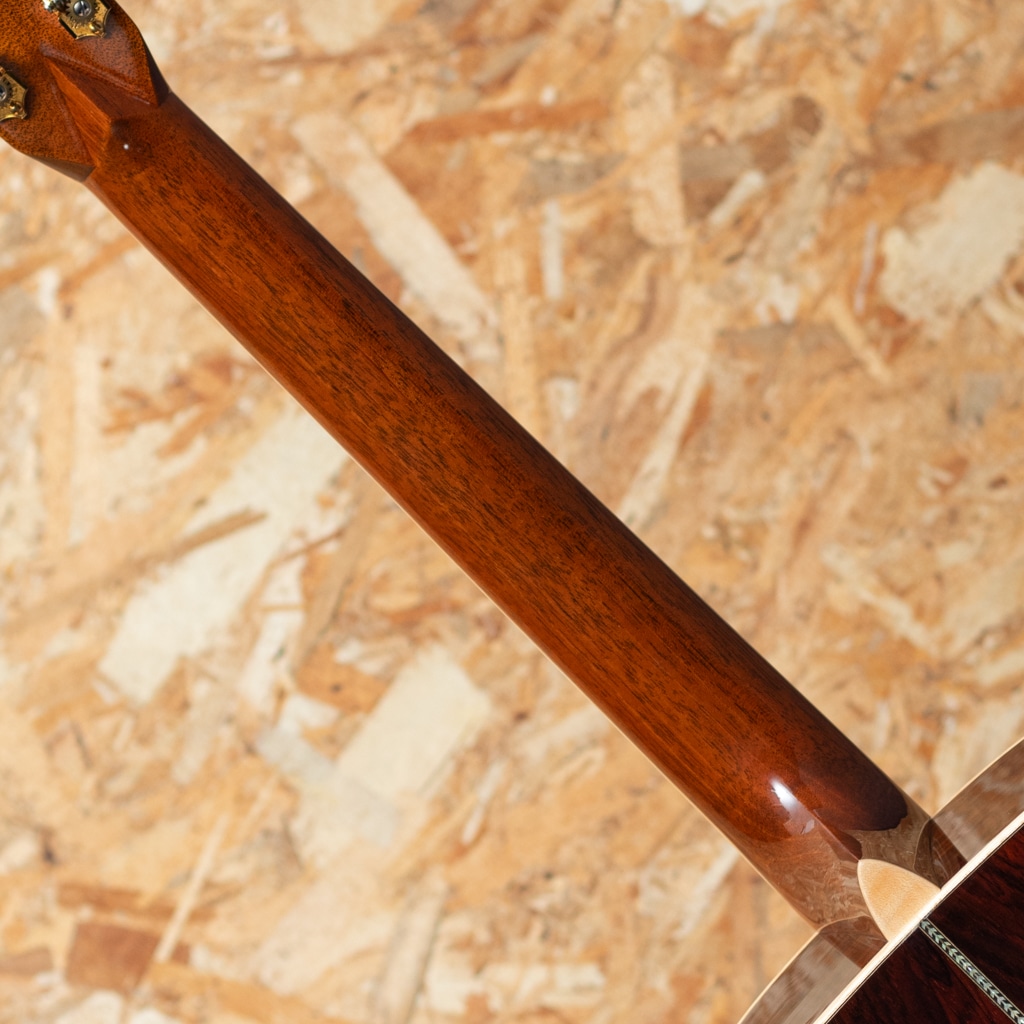 CTM D Adirondack Spruce×Cocobolo 2020