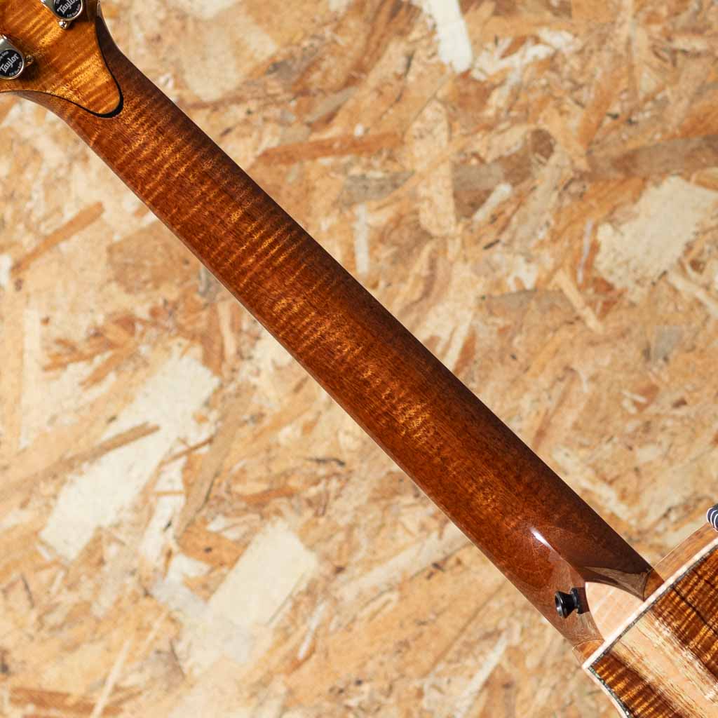 Grand Auditorium Custom -MIKI 200th Anniversary-