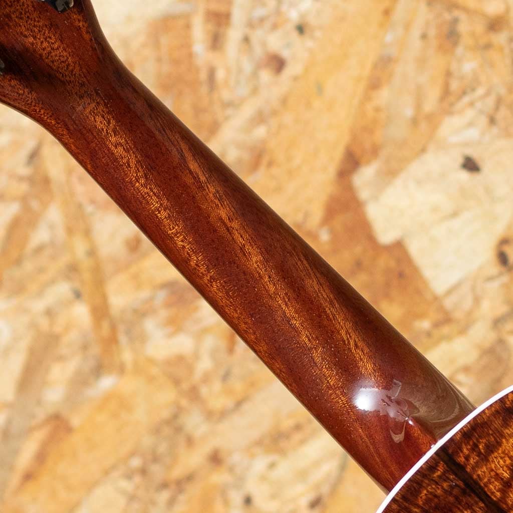 Custom Soprano Model