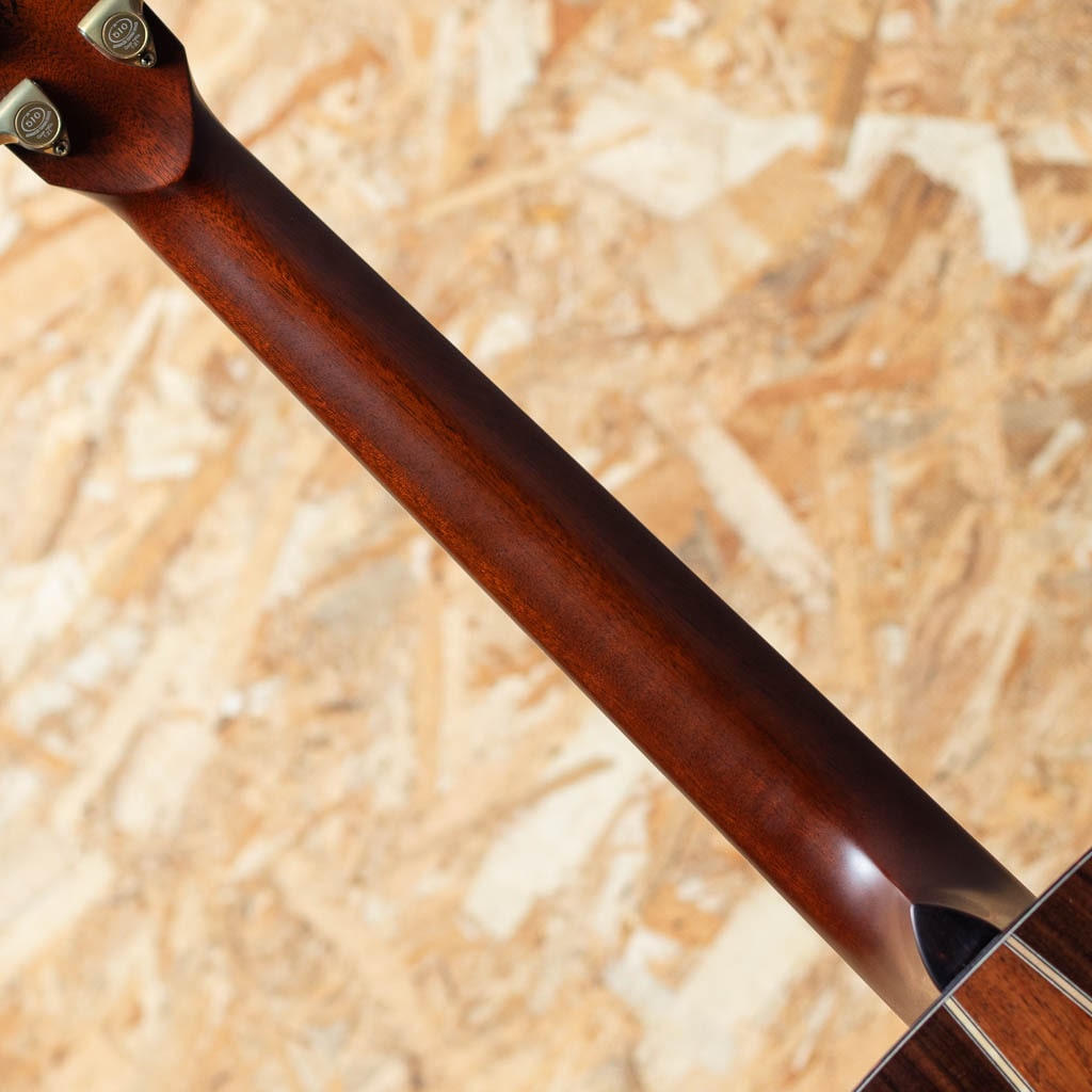 The Eagle'24 Type F 2023