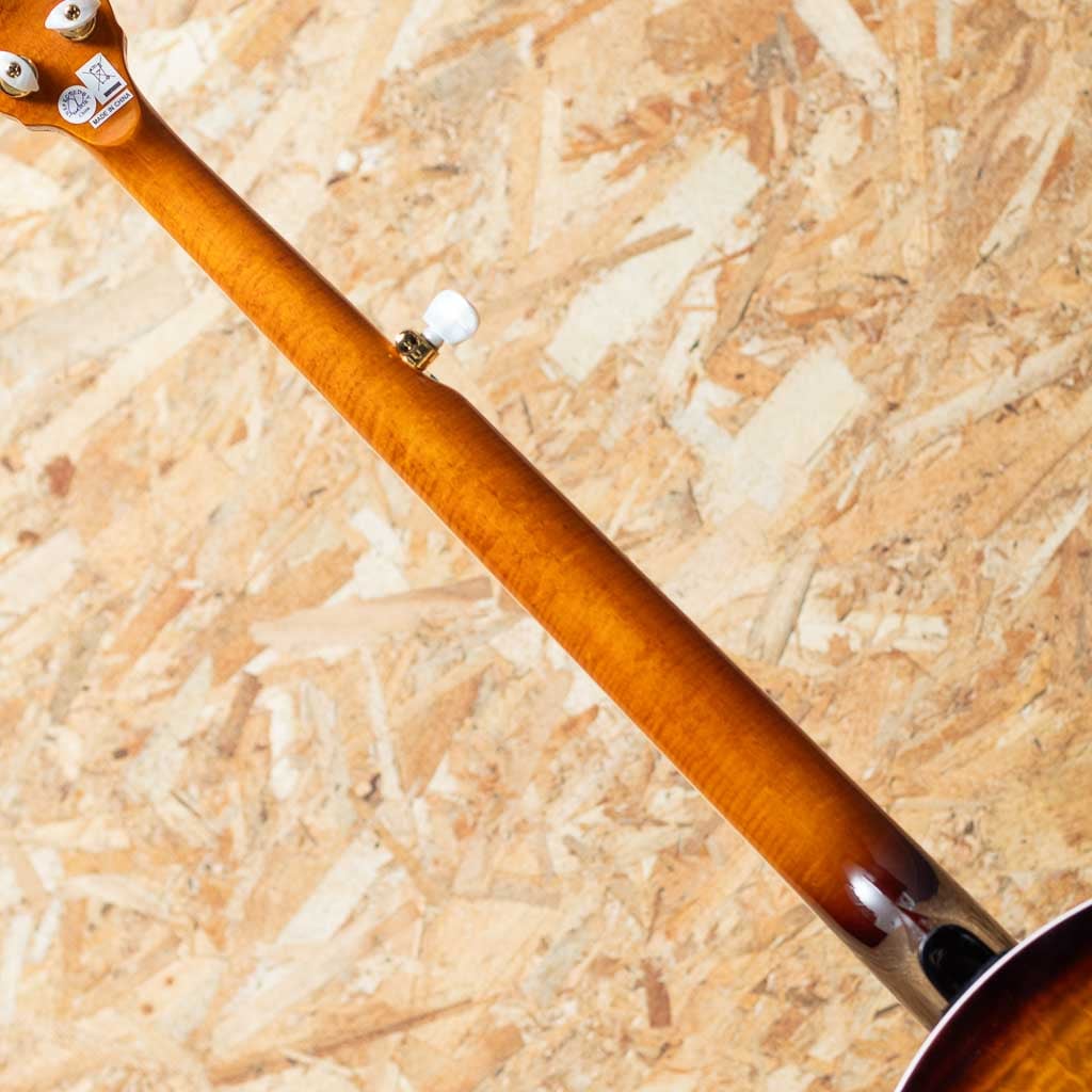 Earl Scruggs Golden Deluxe