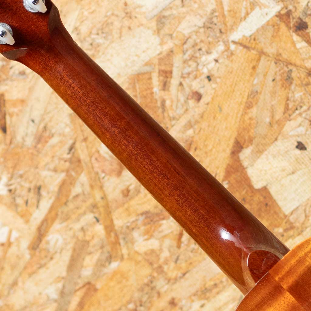 HF-1L Soprano Long Neck 2013