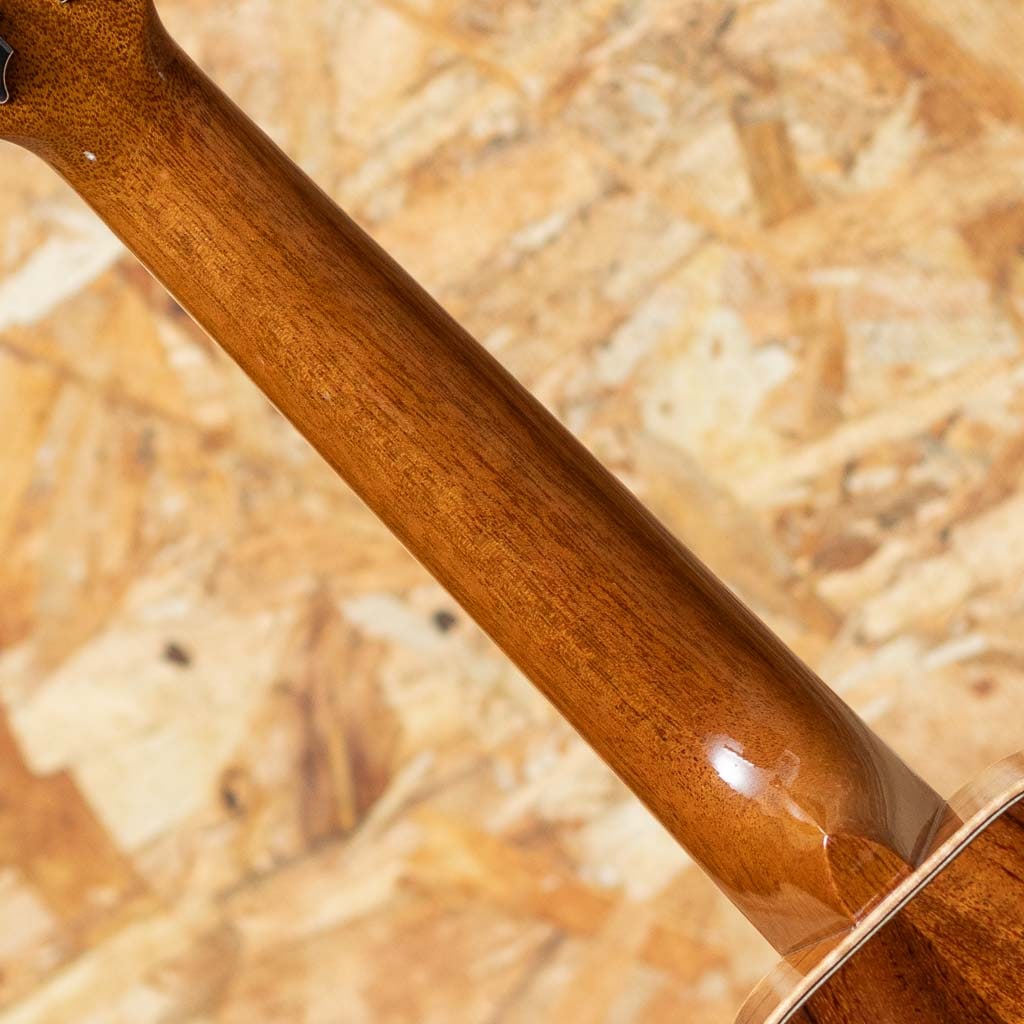 THC-2233 CST Concert