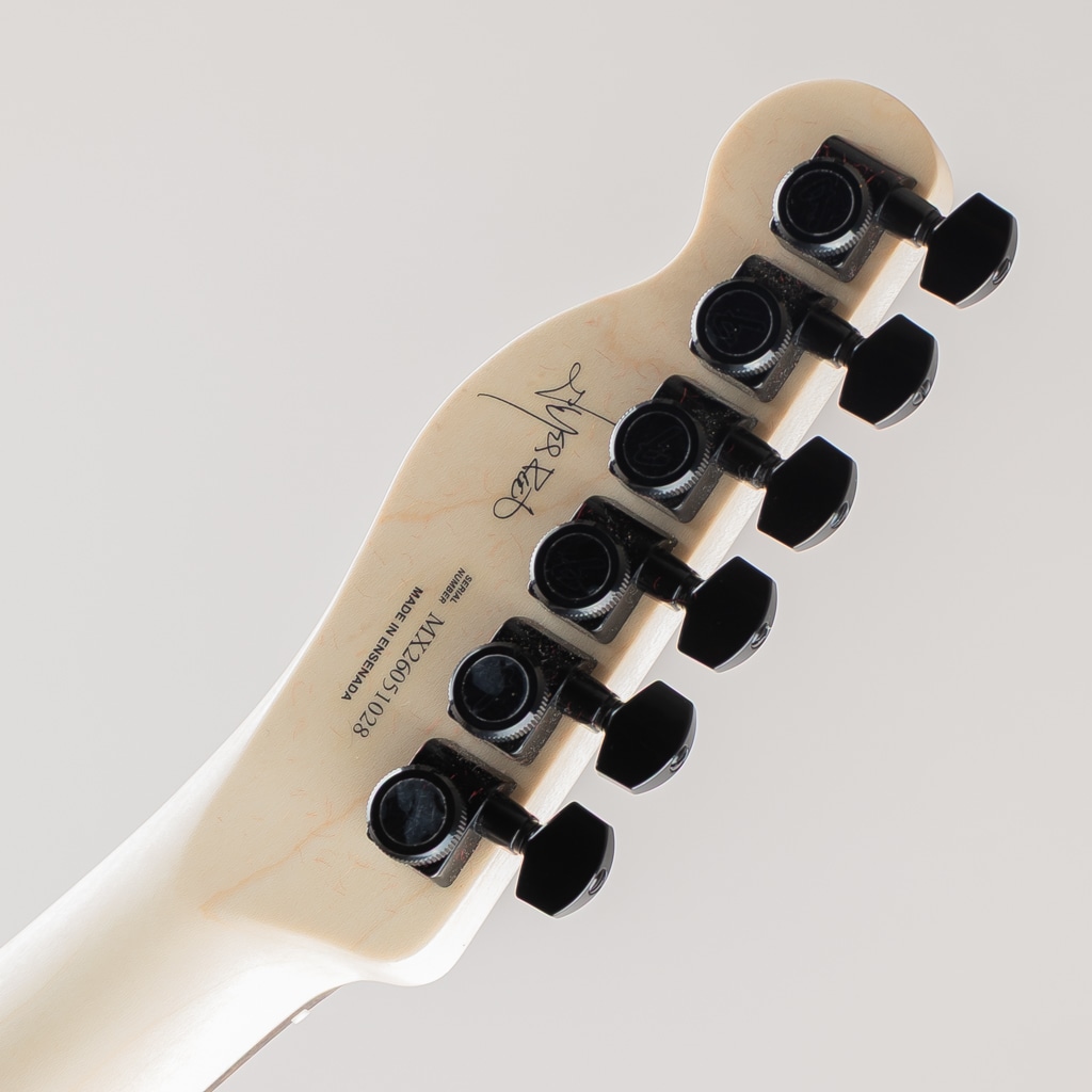 Limited Edition Jim Root Telecaster, Ebony Fingerboard, Shoreline Gold