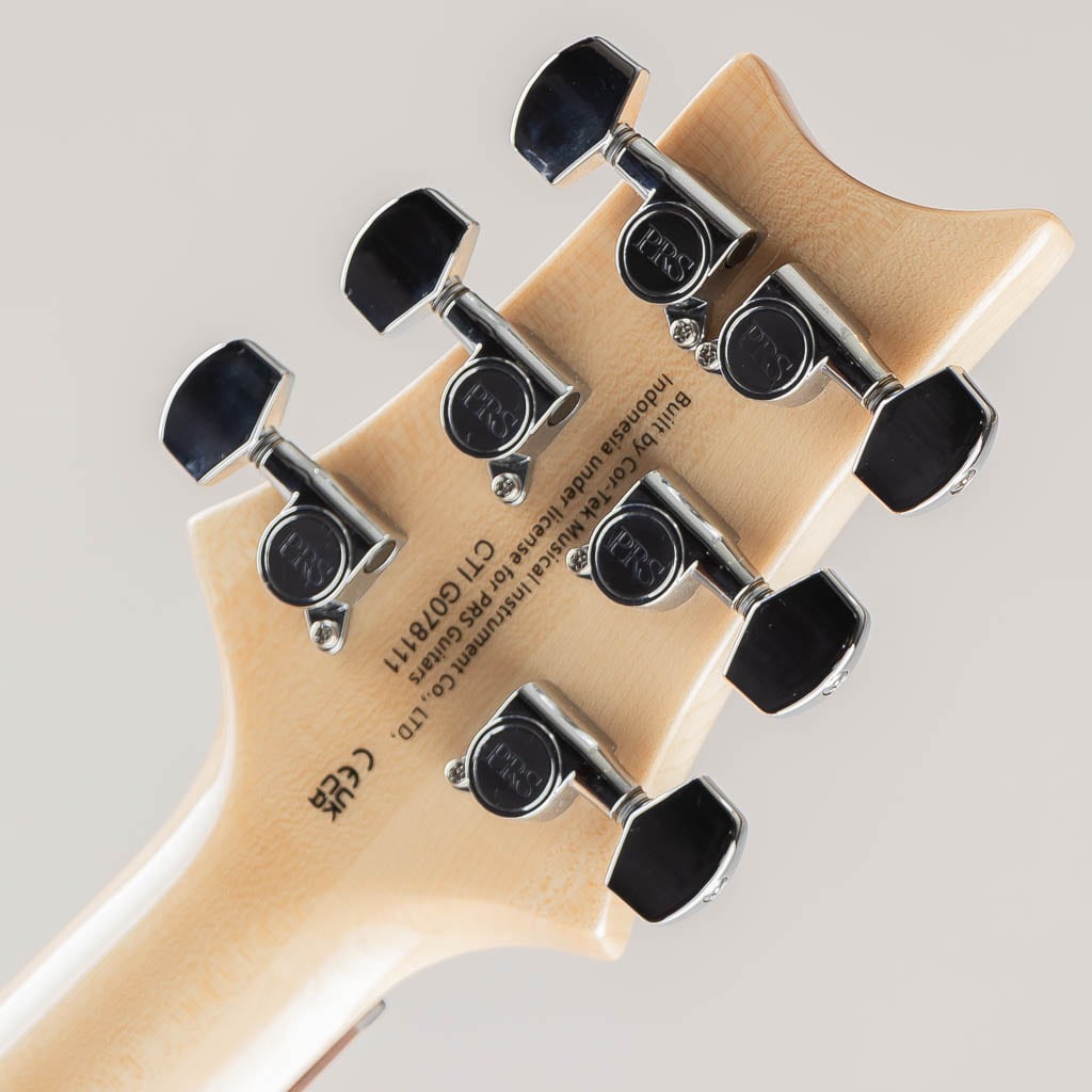 SE Custom 24-08/Turquoise【2024】