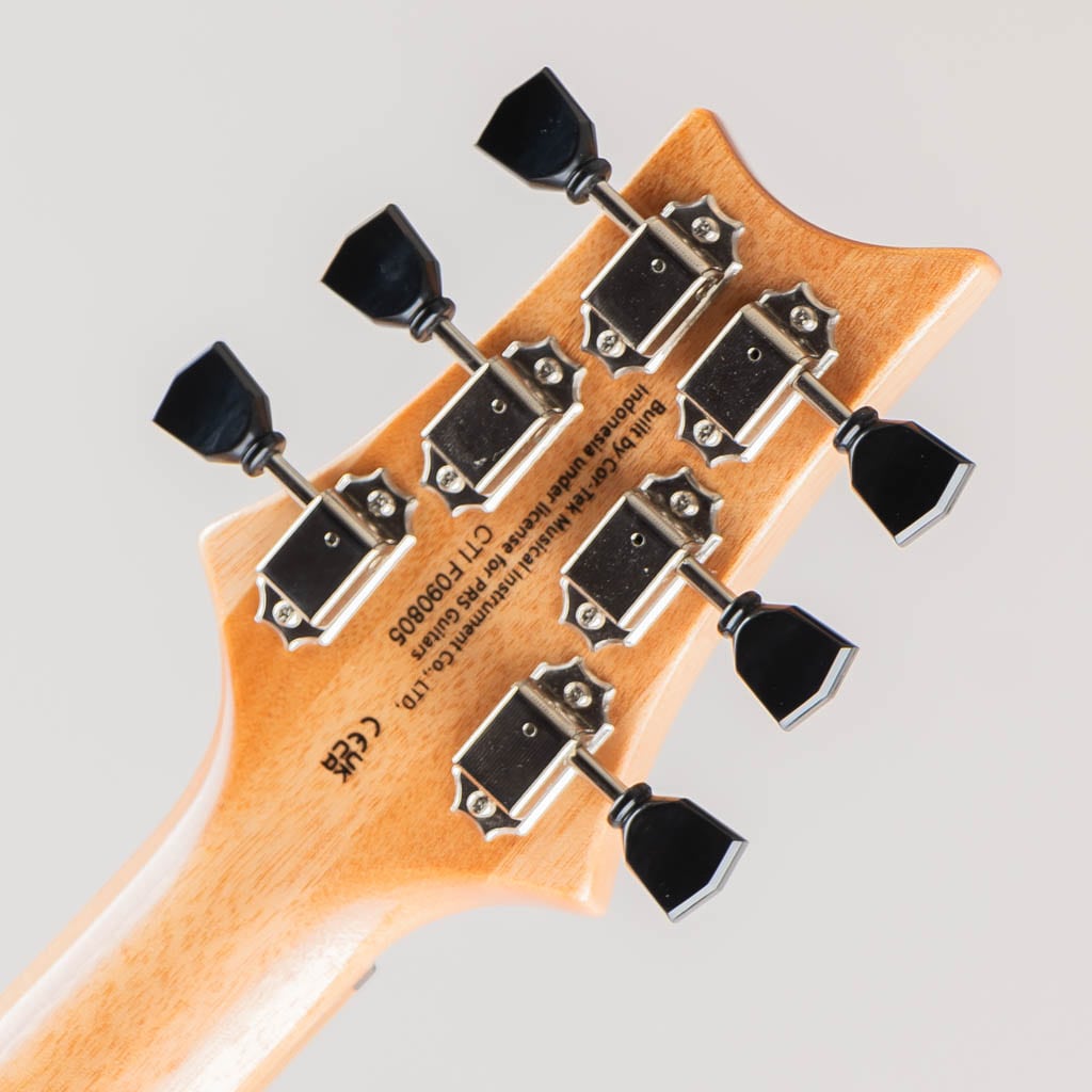 SE Paul's Guitar / Turquoise 【2023】