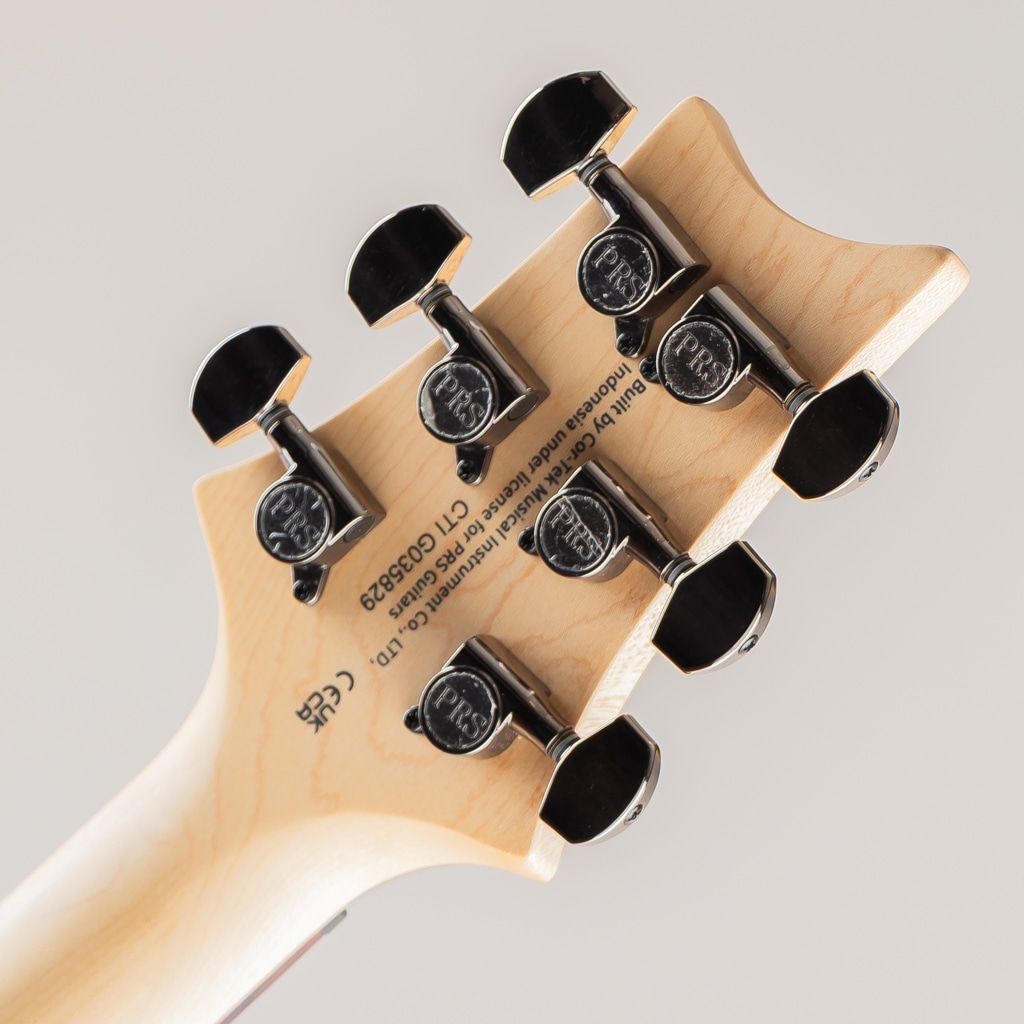 SE Swamp Ash CE 24 Sandblasted Limited / Sandblasted Blue 【2024】