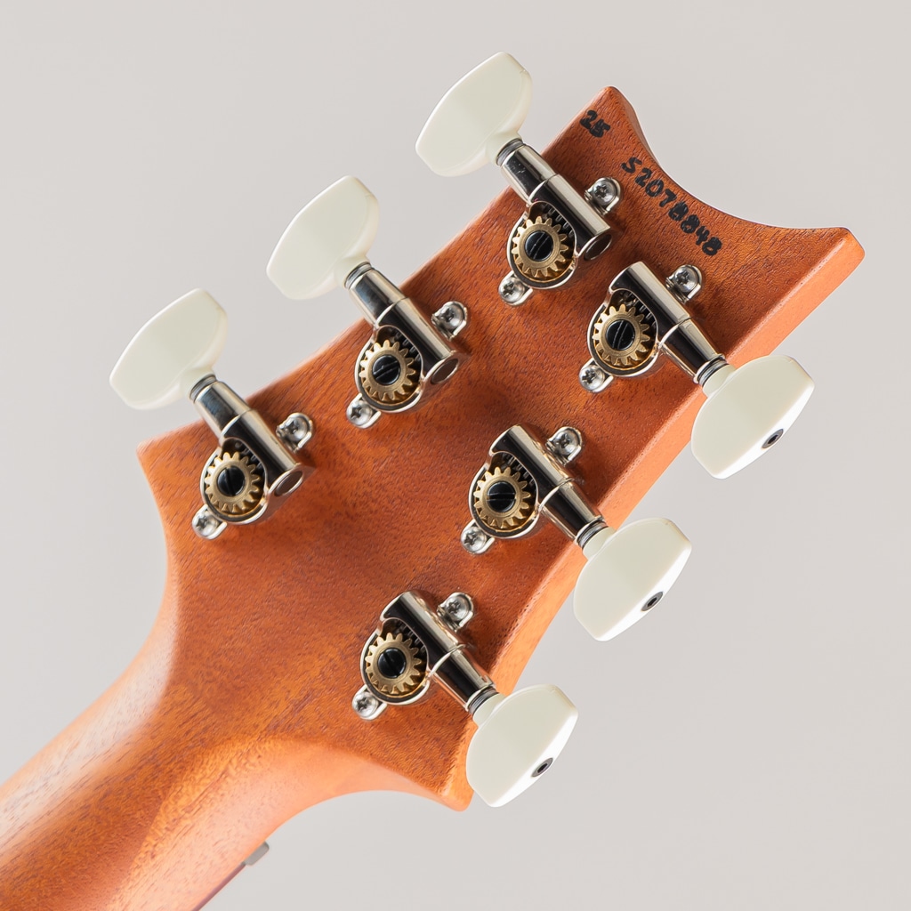 S2 Special Semi-Hollow Reclaimed Limited Edition【全世界700本限定】2025 S2078848【3.385kg】 アメリカ村店