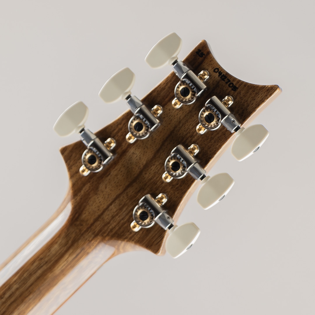 40th Aniversary Special Semi-Hollow Limited Edition Yellow Tiger 2025