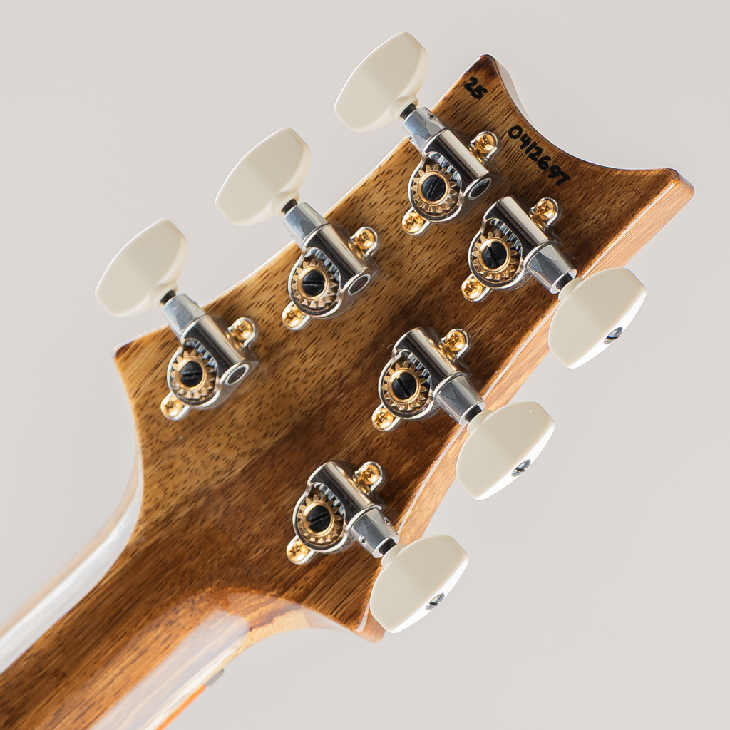 40th Aniversary Special Semi-Hollow Limited Edition Yellow Tiger 2025