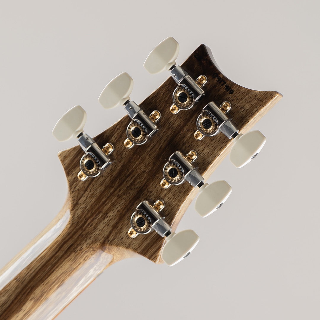 40th Aniversary Special Semi-Hollow Limited Edition Faded Whale Blue (Natural Back) 2025