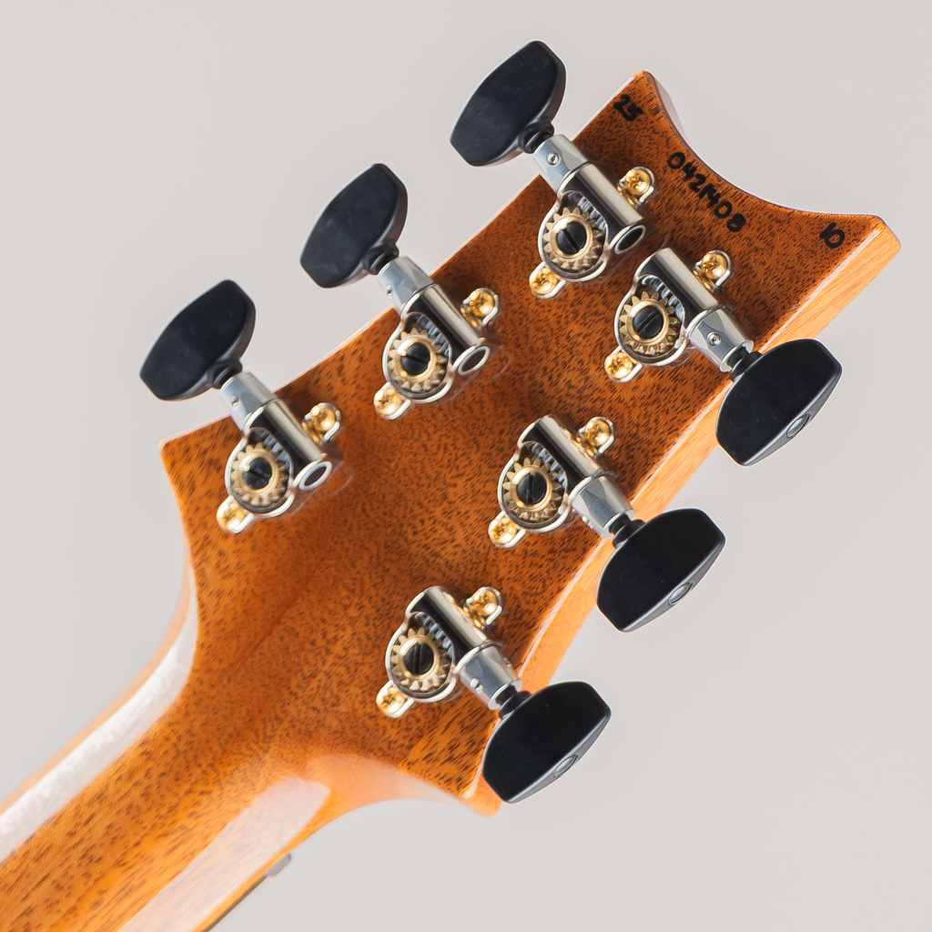 Custom24 10Top "DMO" Pickups Artic Blue 2025