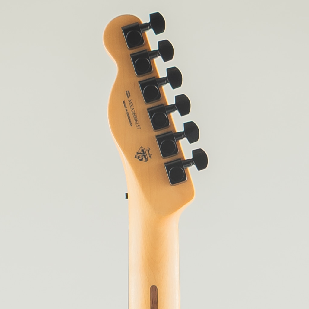 Limited Edition Player Fusion Telecaster HH Floyd Rose, Ebony