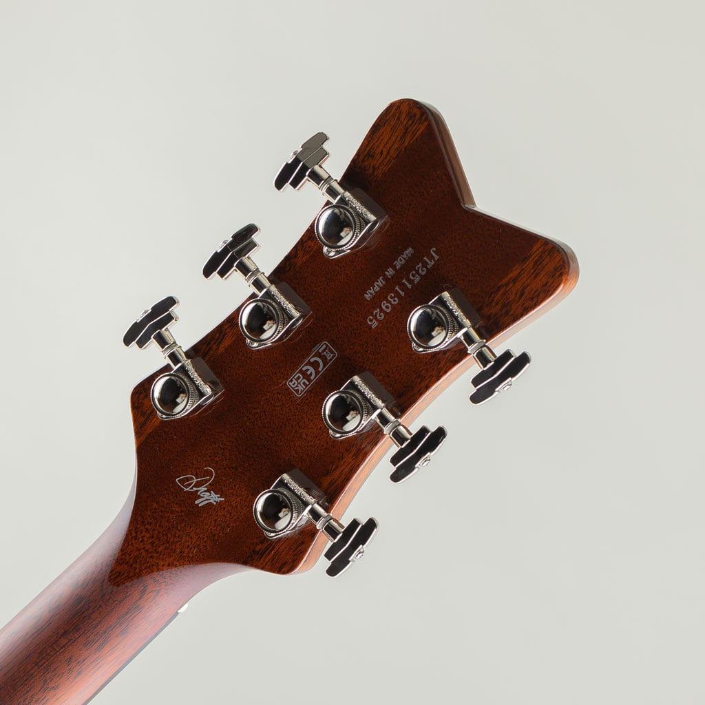 G6134TFM-NH Nigel Hendroff Signature Penguin/Amber Flame: エレキ