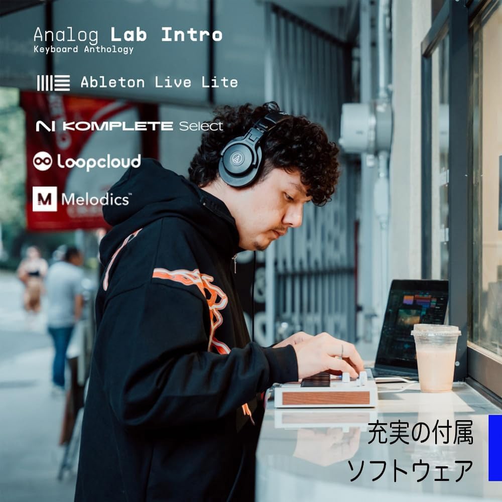 Arturia アートリア MIDIキーボード&パッドコントローラー MINILAB 37 (ブラック) 37鍵盤 ブラック DZONE