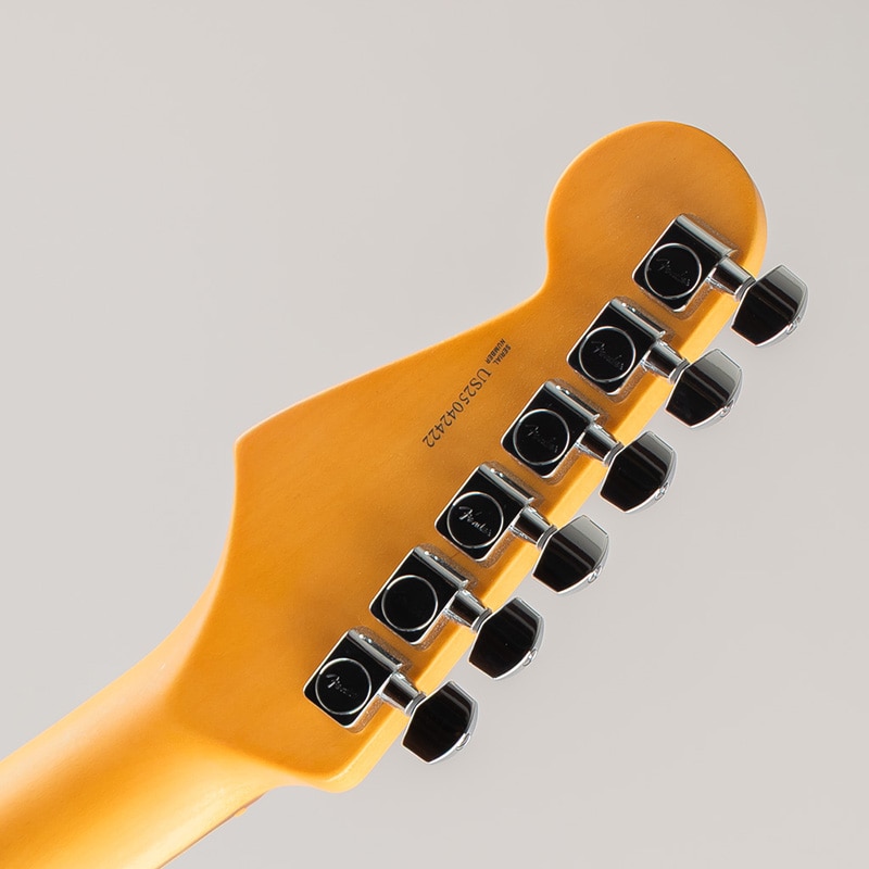 American Professional II Stratocaster /Roasted Pine/Rosewood Fingerboard