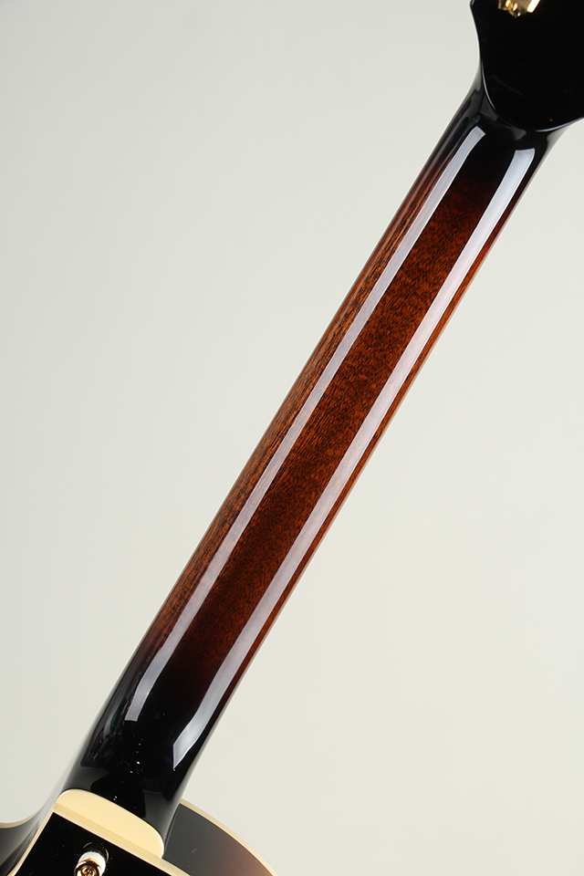 Ladybug SM-C Vintage Sunburst【S/N:RZO902】